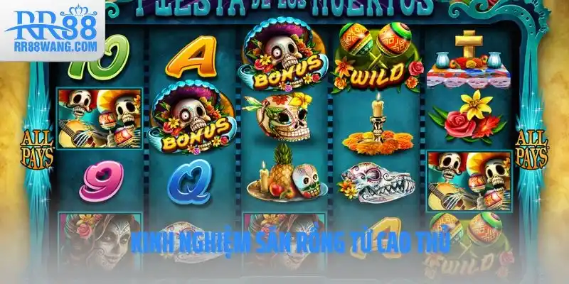 Kinh nghiệm săn rồng từ cao thủ